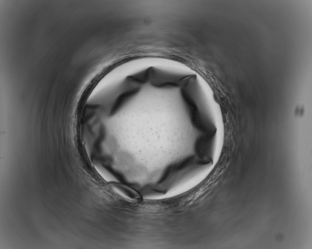 X0000099540342200806061459