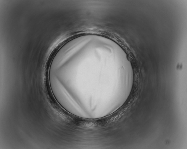 X0000099540344200806061459