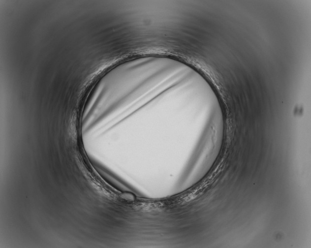 X0000099540345200806061459