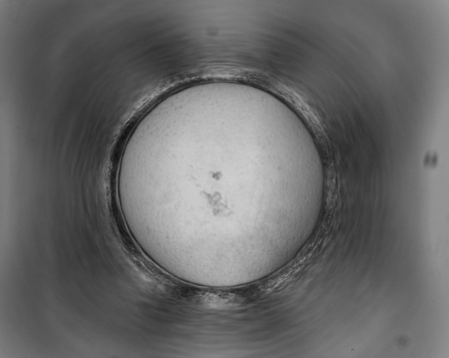 X0000099540346200806061459