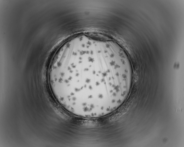 X0000099540347200806061459