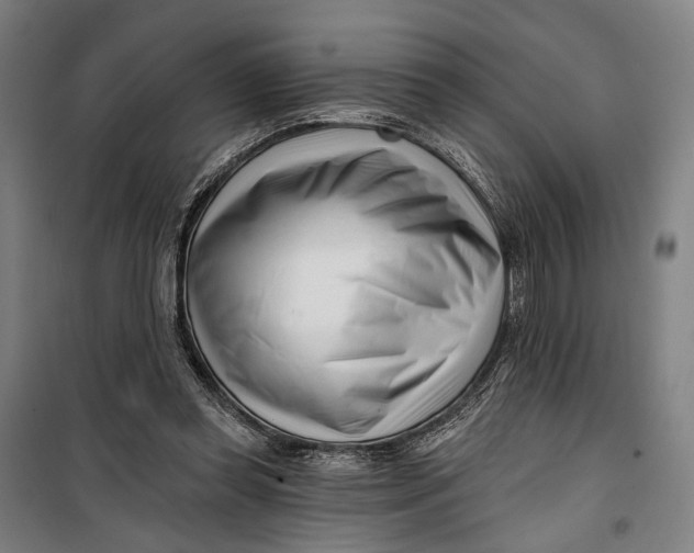 X0000099540349200806061459