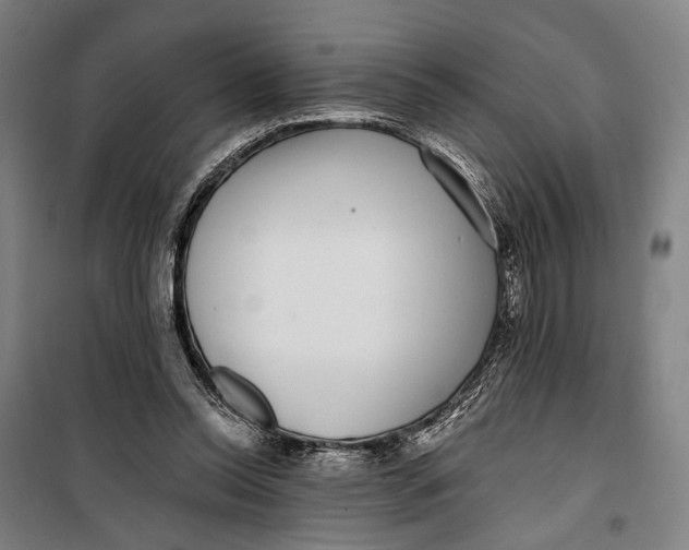 X0000099540350200806061459