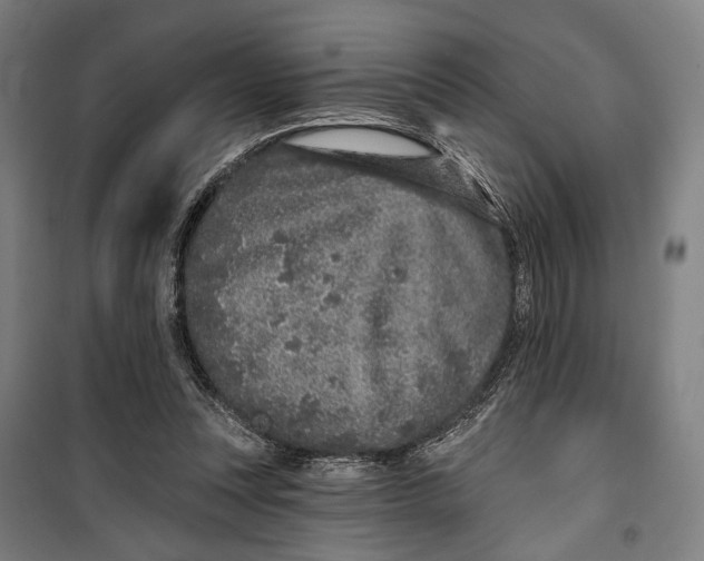 X0000099540351200806061459