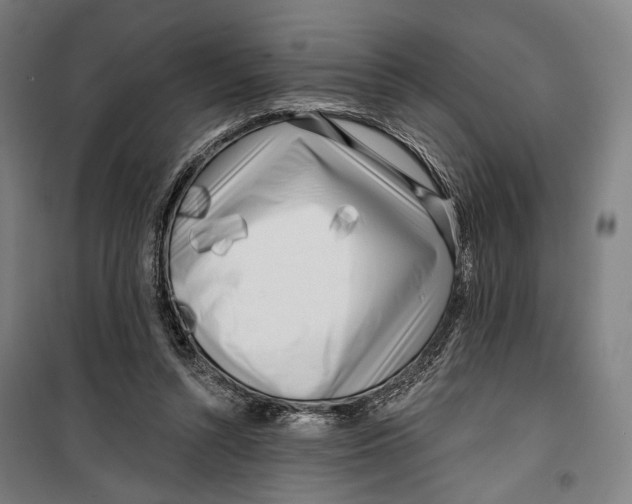 X0000099540352200806061459