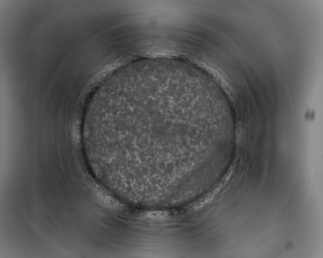 X0000099540353200806061459