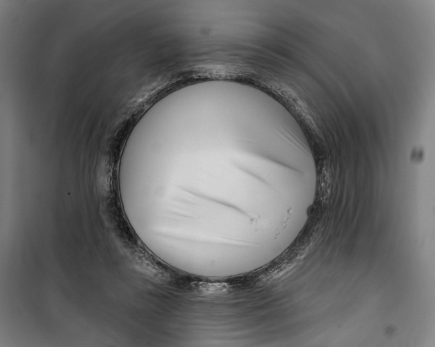 X0000099540355200806061459