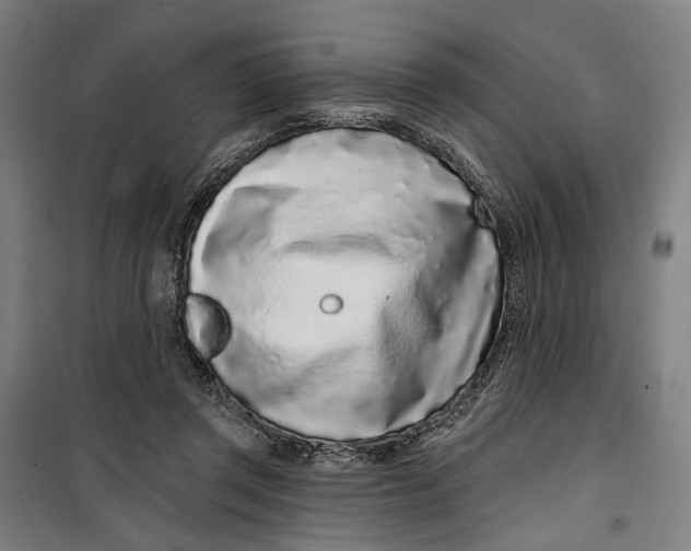 X0000099540357200806061459