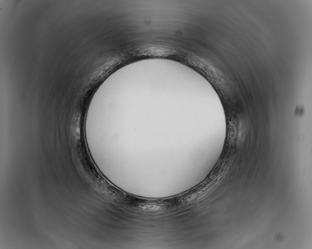 X0000099540358200806061459