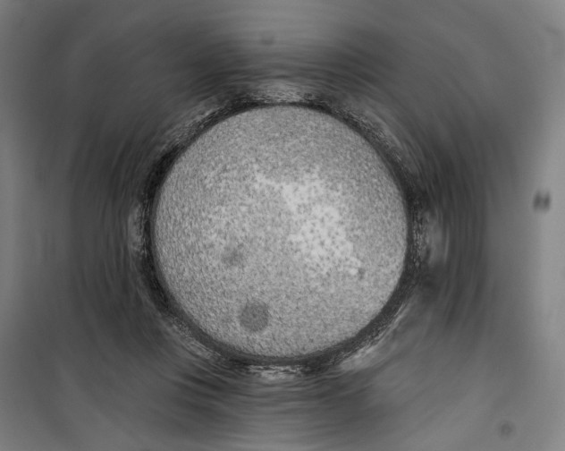 X0000099540359200806061459