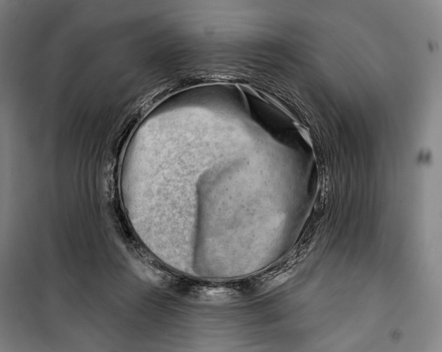 X0000099540360200806061459