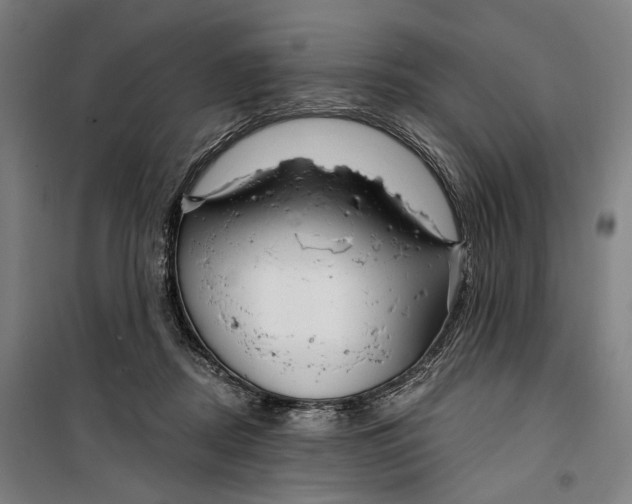 X0000099540362200806061459