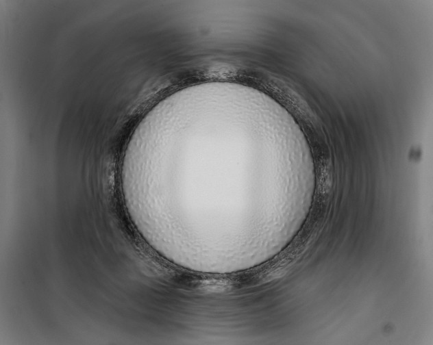 X0000099540363200806061459