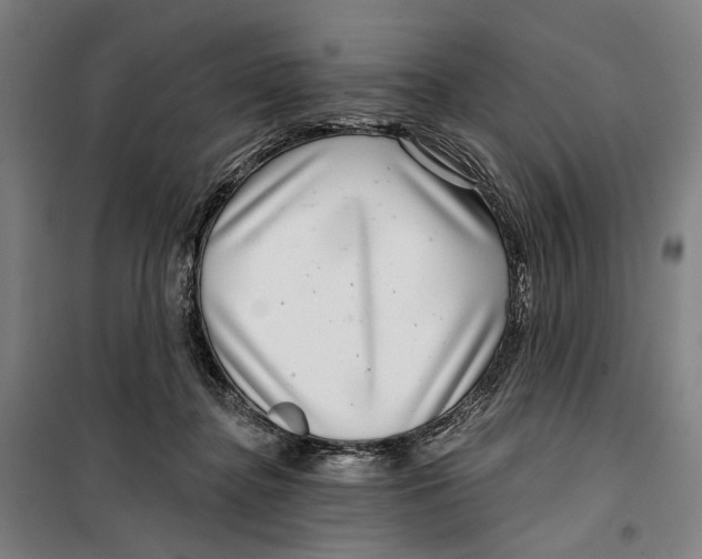 X0000099540364200806061459