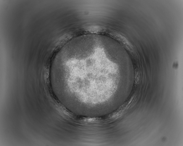 X0000099540365200806061459