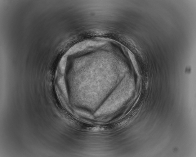 X0000099540366200806061459