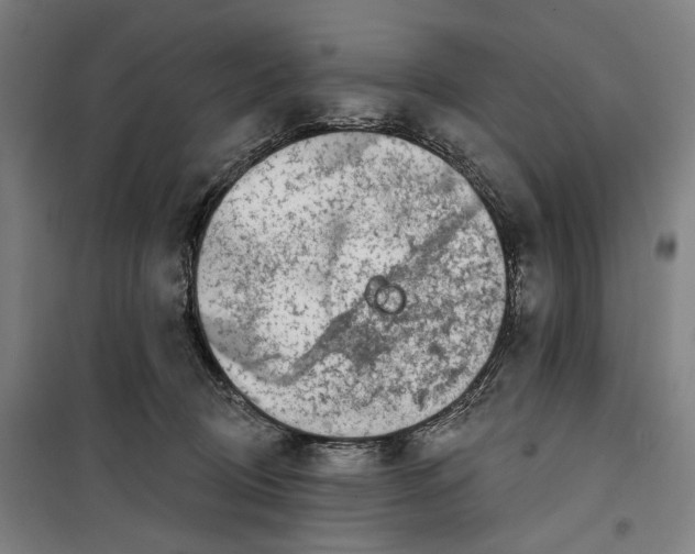 X0000099540370200806061500