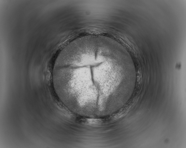 X0000099540371200806061500