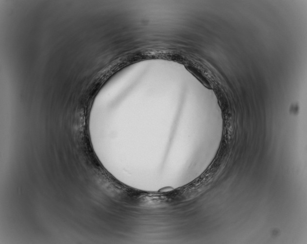 X0000099540372200806061500