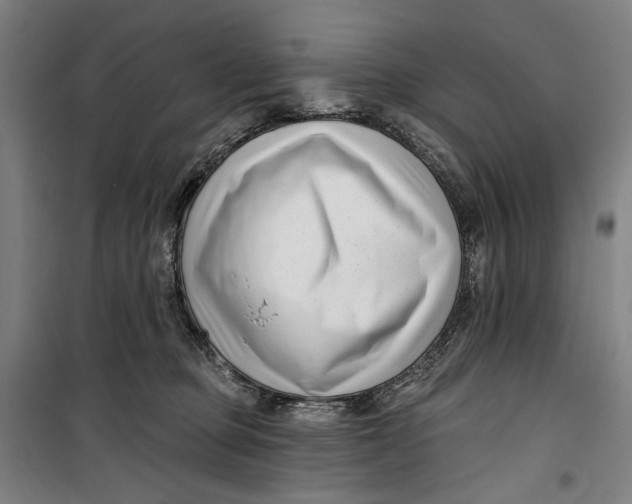 X0000099540373200806061500