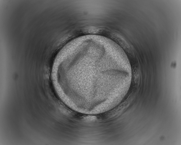 X0000099540374200806061500