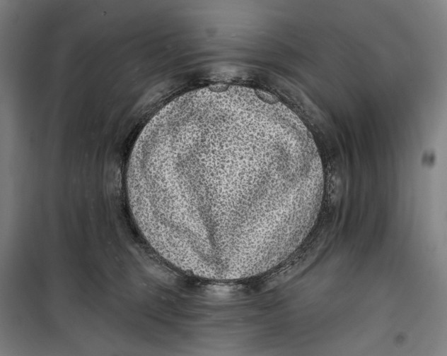 X0000099540375200806061500