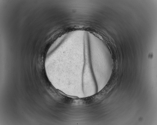 X0000099540376200806061500