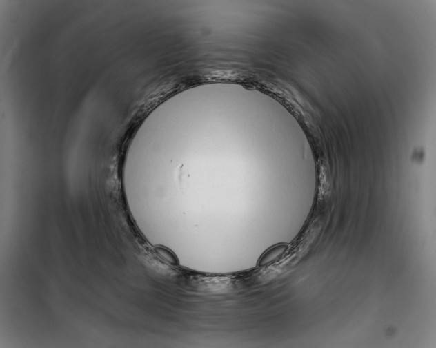 X0000099540377200806061500