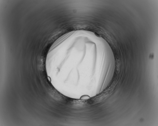 X0000099540378200806061500