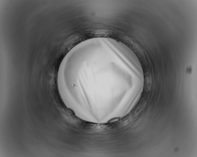 X0000099540379200806061500