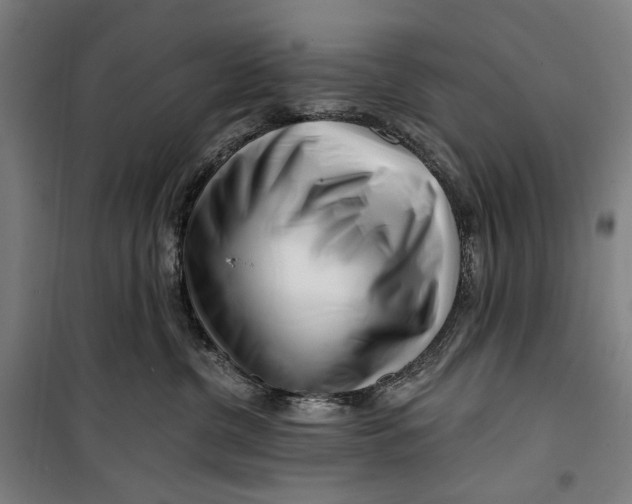 X0000099540380200806061500