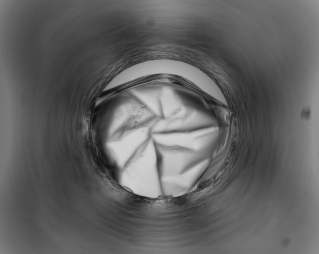 X0000099540382200806061500