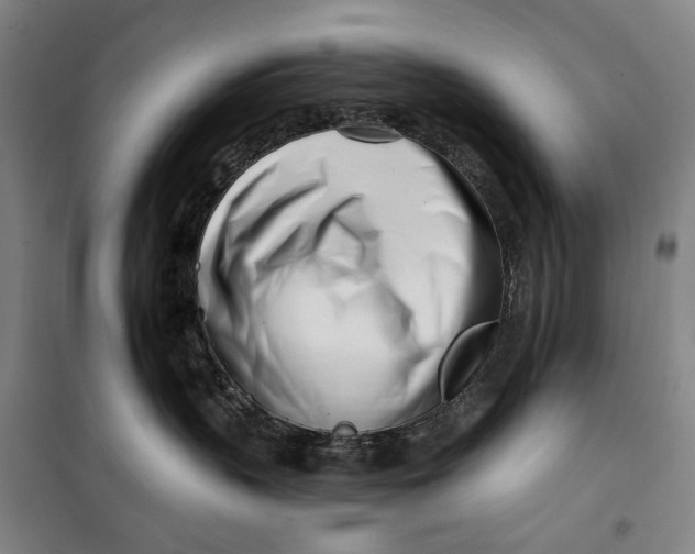 X0000099540383200806061500