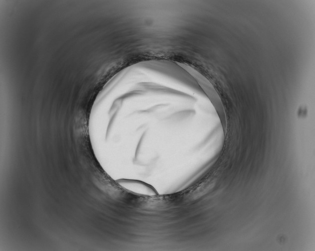 X0000099540384200806061500