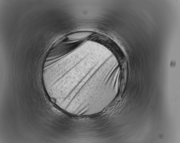 X0000099540385200806061459