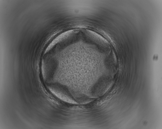 X0000099540386200806061459