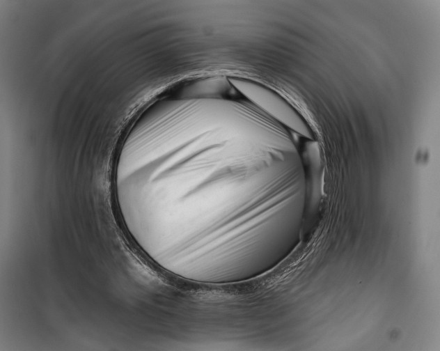 X0000099540389200806061459