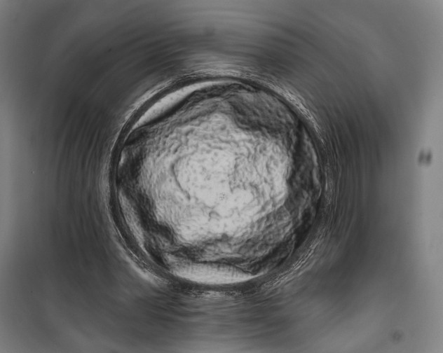 X0000099540390200806061459