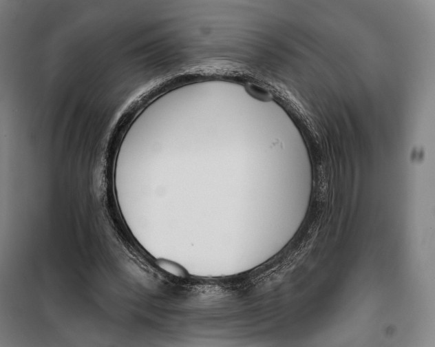 X0000099540392200806061459