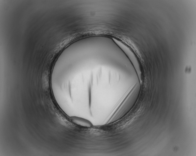 X0000099540393200806061459