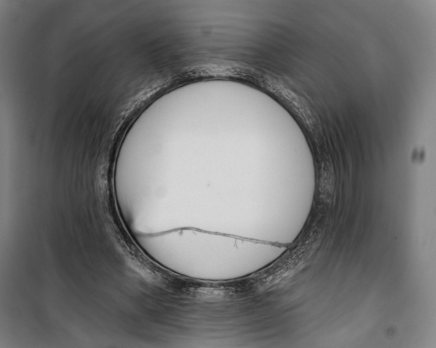 X0000099540394200806061459