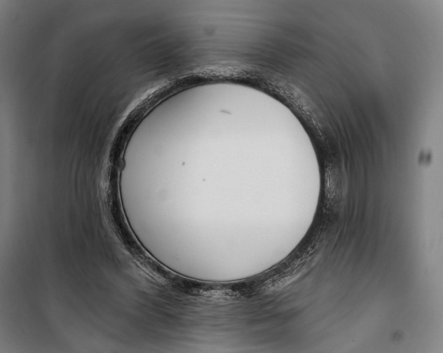 X0000099540396200806061459