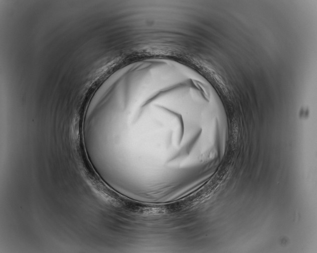 X0000099540398200806061459