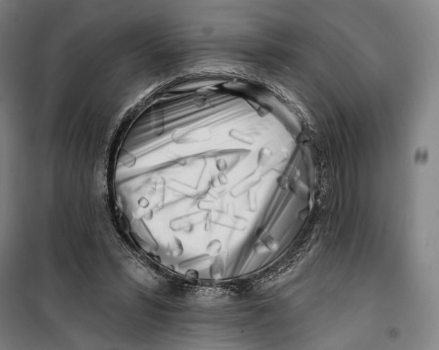 X0000099540399200806061459