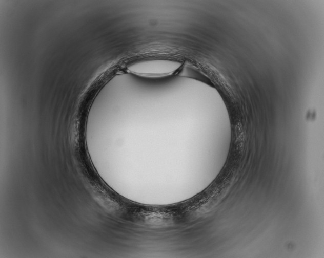 X0000099540400200806061459