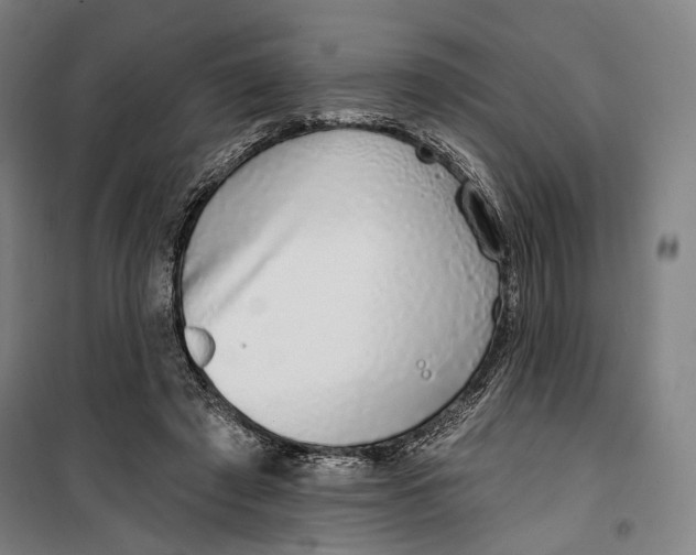 X0000099540401200806061459