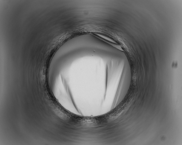 X0000099540402200806061459