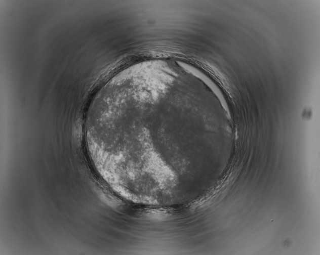 X0000099540405200806061459