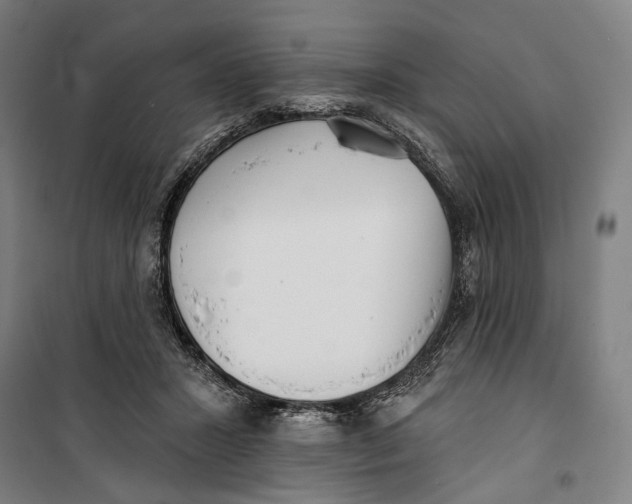 X0000099540407200806061459