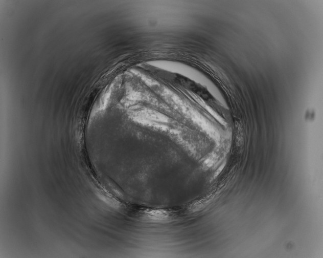 X0000099540409200806061459